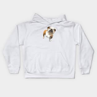 Bulldog Shake Shake Paws! Kids Hoodie